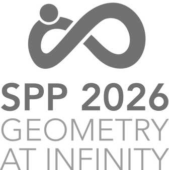 SPP 2026 Geometry at Infinity Logo