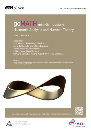 goMATH小型研讨会:调和分析与数论