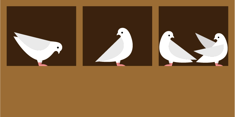 四只鸽子被分成三个箱子。根据鸽子洞原理，一个箱子里必须有两只鸽子。(图片:在上面)