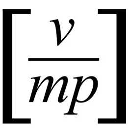 VMP的标志