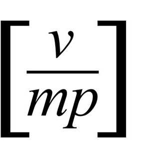 VMP的标志